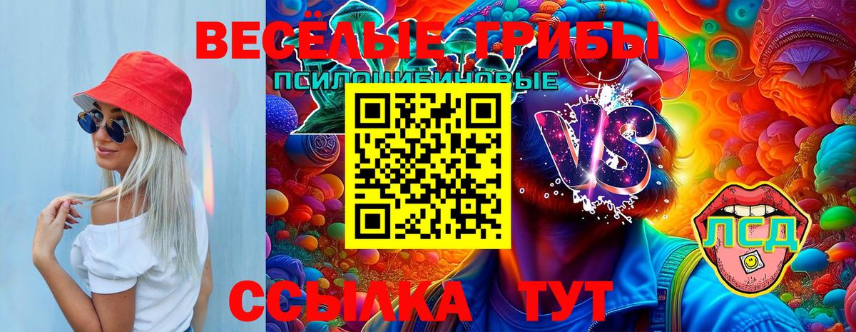 где можно купить наркотик  Вход с VPN  Берёзовский  Псилоцибиновые грибы Magic Shrooms 