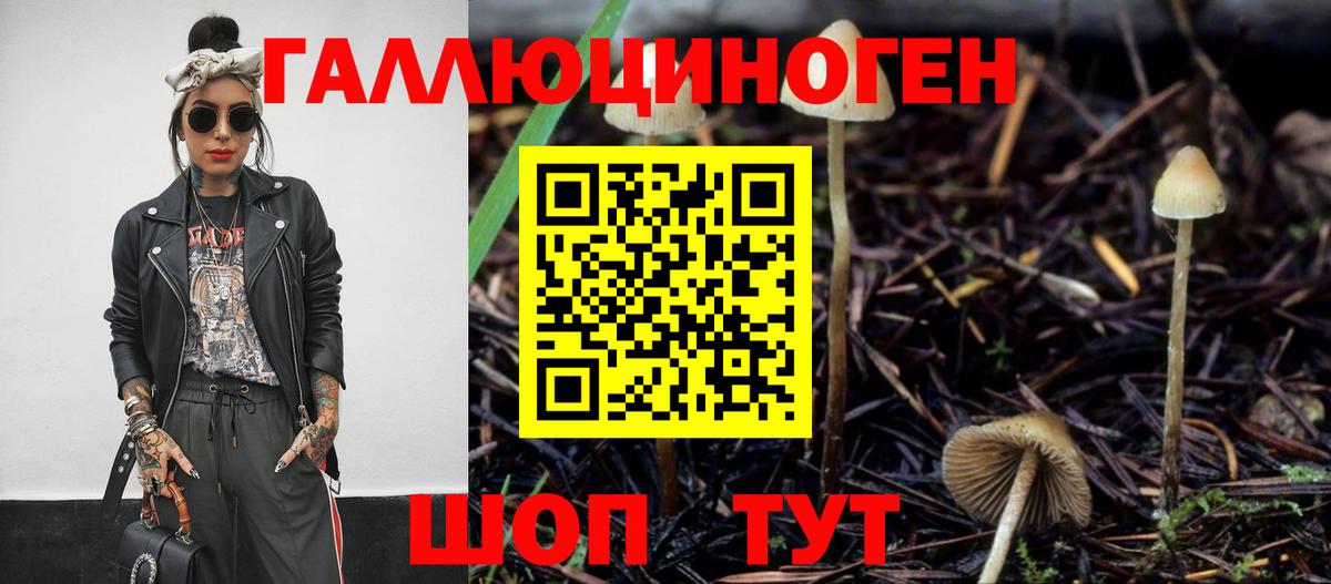 Галлюциногенные грибы MAGIC MUSHROOMS Берёзовский